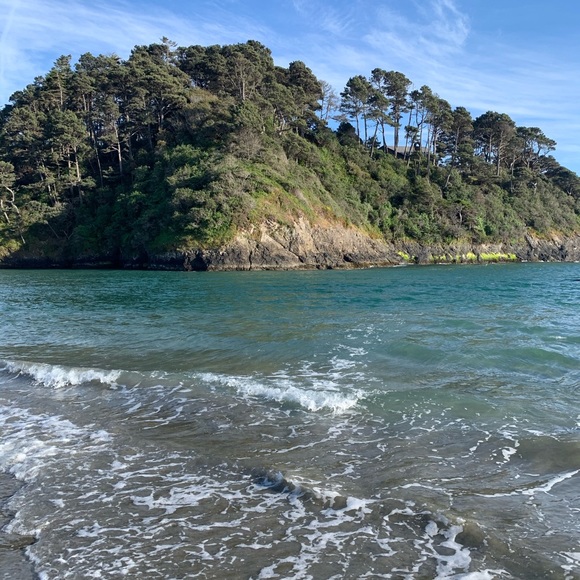 Meet your Posher, Nancy - Picture 5 of 7